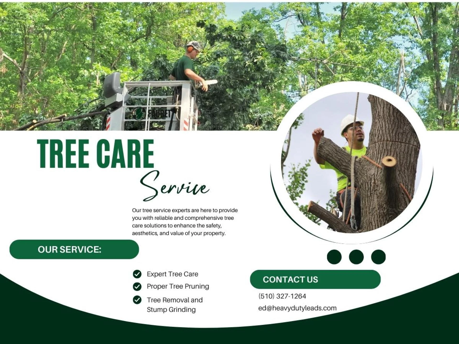 Quality tree service in Fremont
