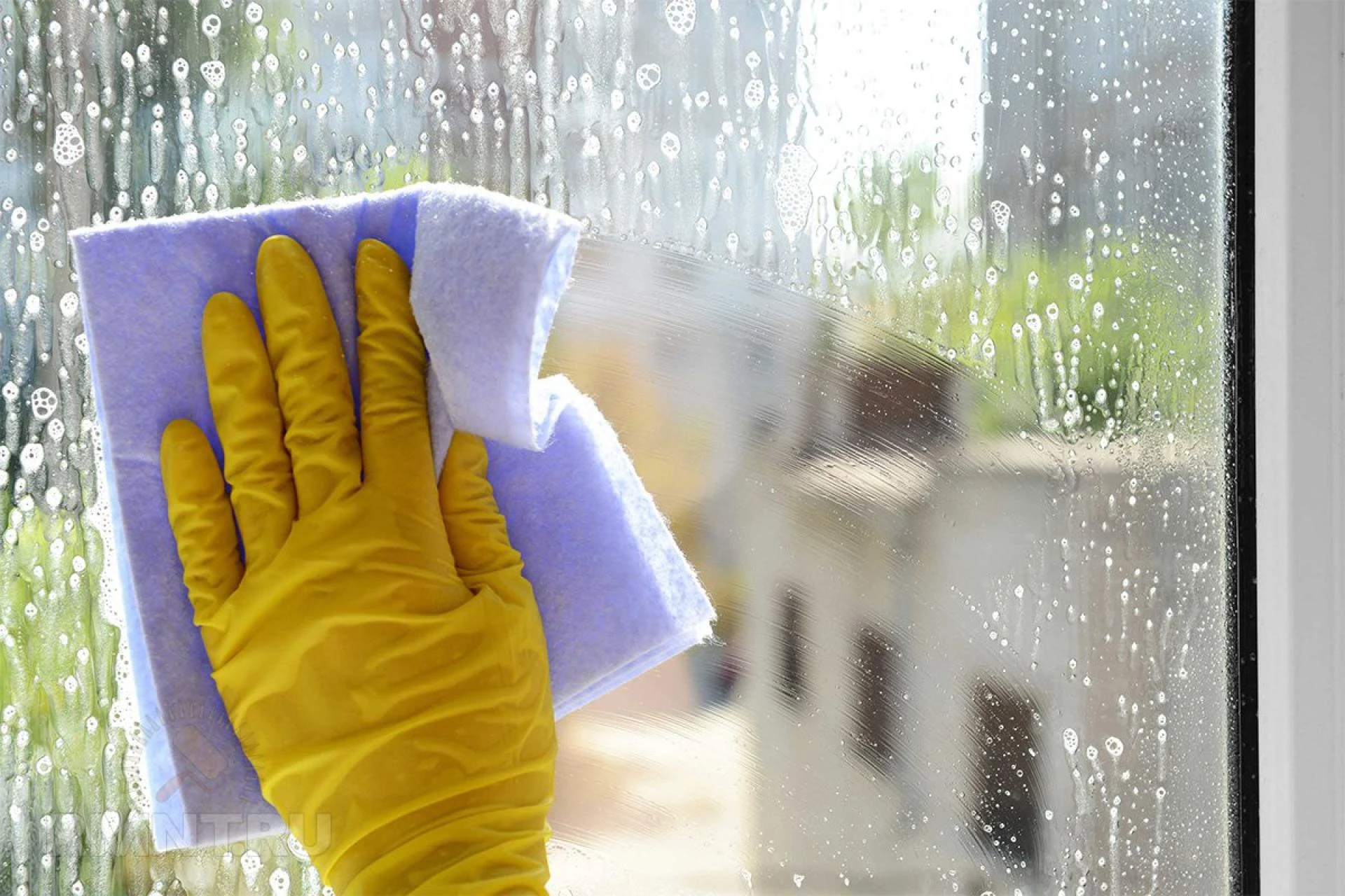 Step Up Your Window Cleaning Game With These Unconventional Tools