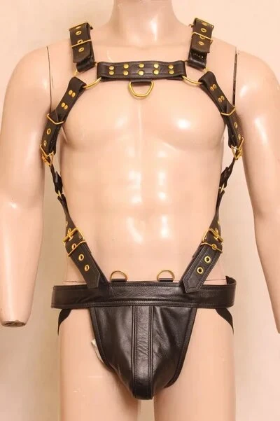 The Versatile Allure of Leather Harnesses: From Fashion to Function?