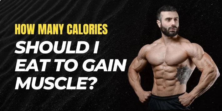 How Many Calories Should I Eat to Gain Muscle?