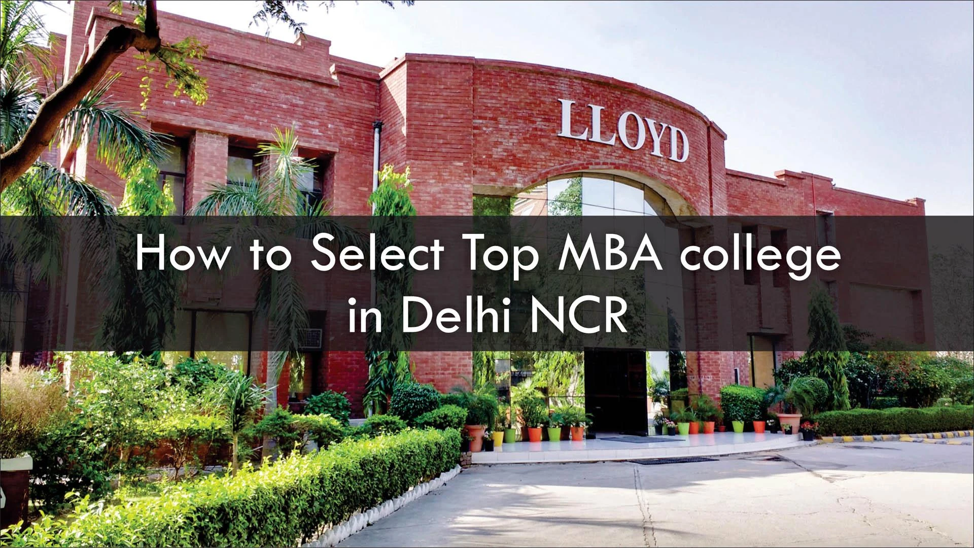 Which MBA specialization is right for you?