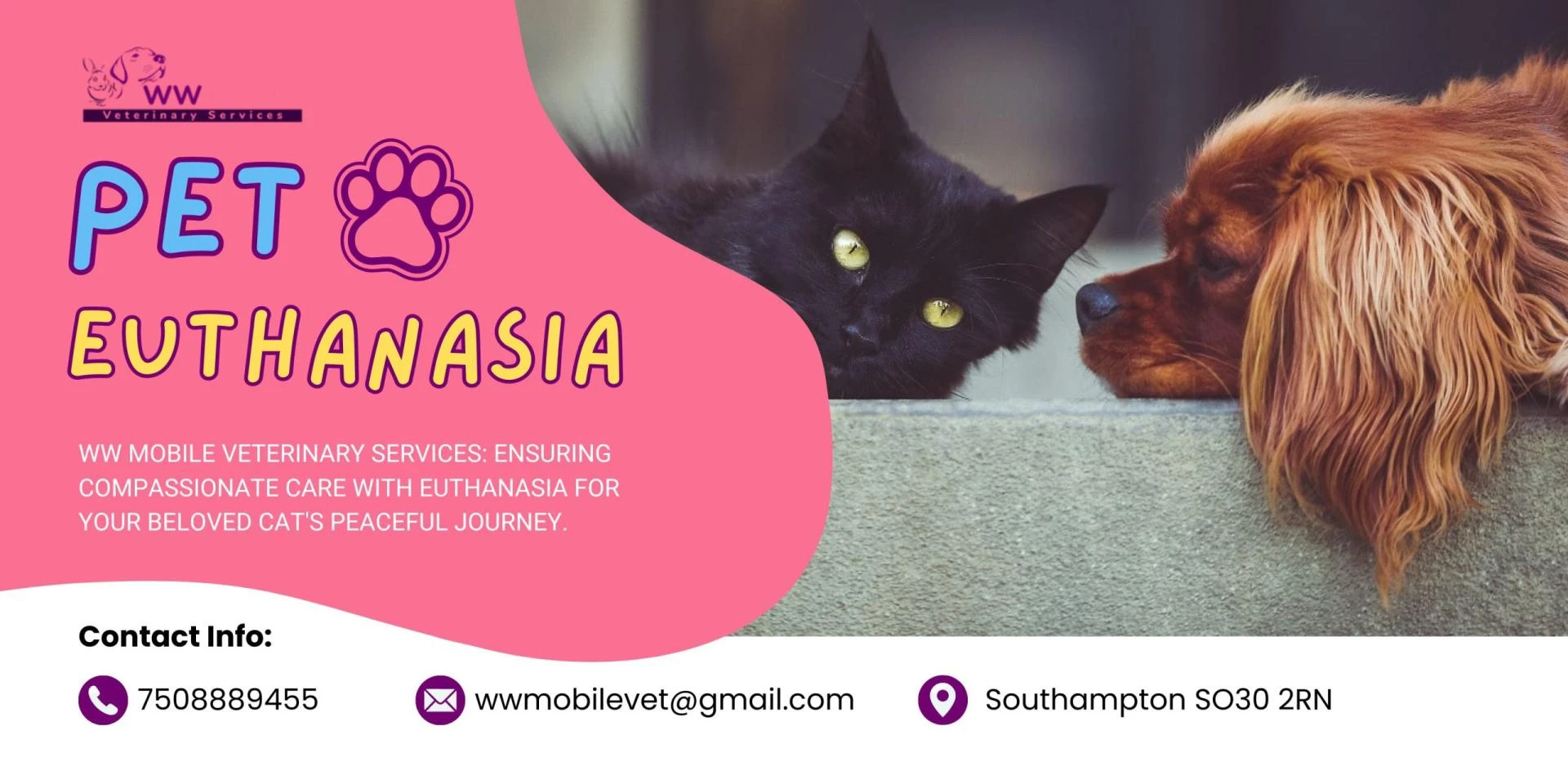 Understanding Euthanasia in Cats | WW Mobile Veterinary Services