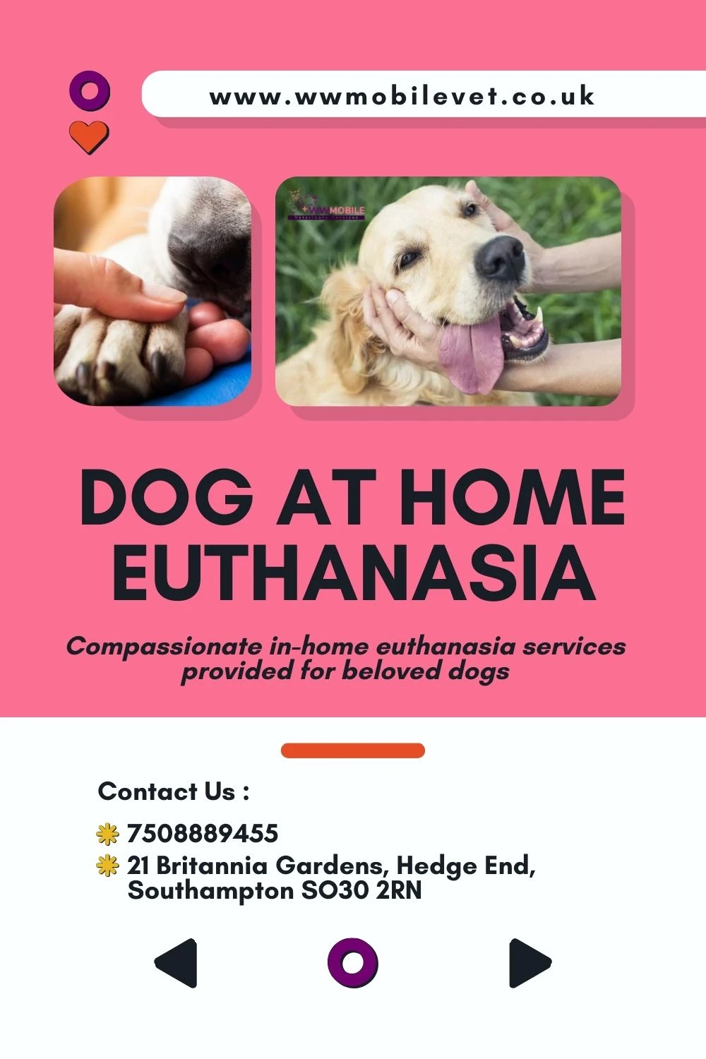 Dog Euthanasia In the Comfort of Home: Bidding Farewell with Dignity