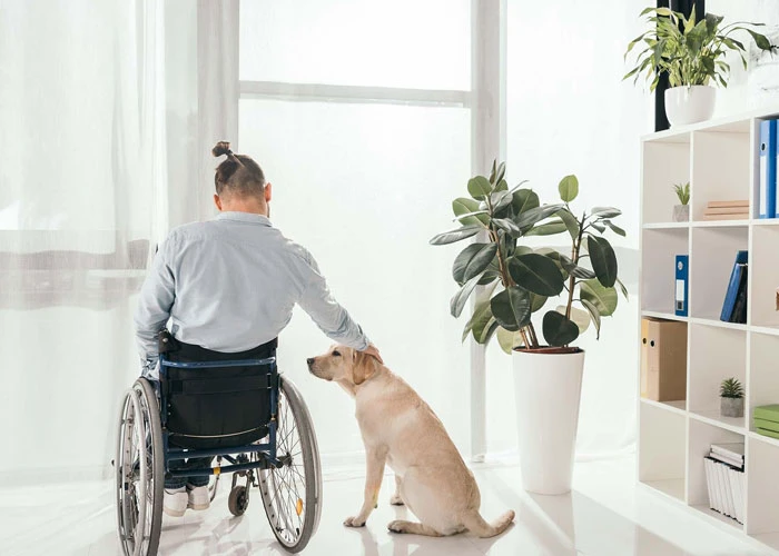 How Does NDIS Short-Term Accommodation Help You Reach Your Goals?