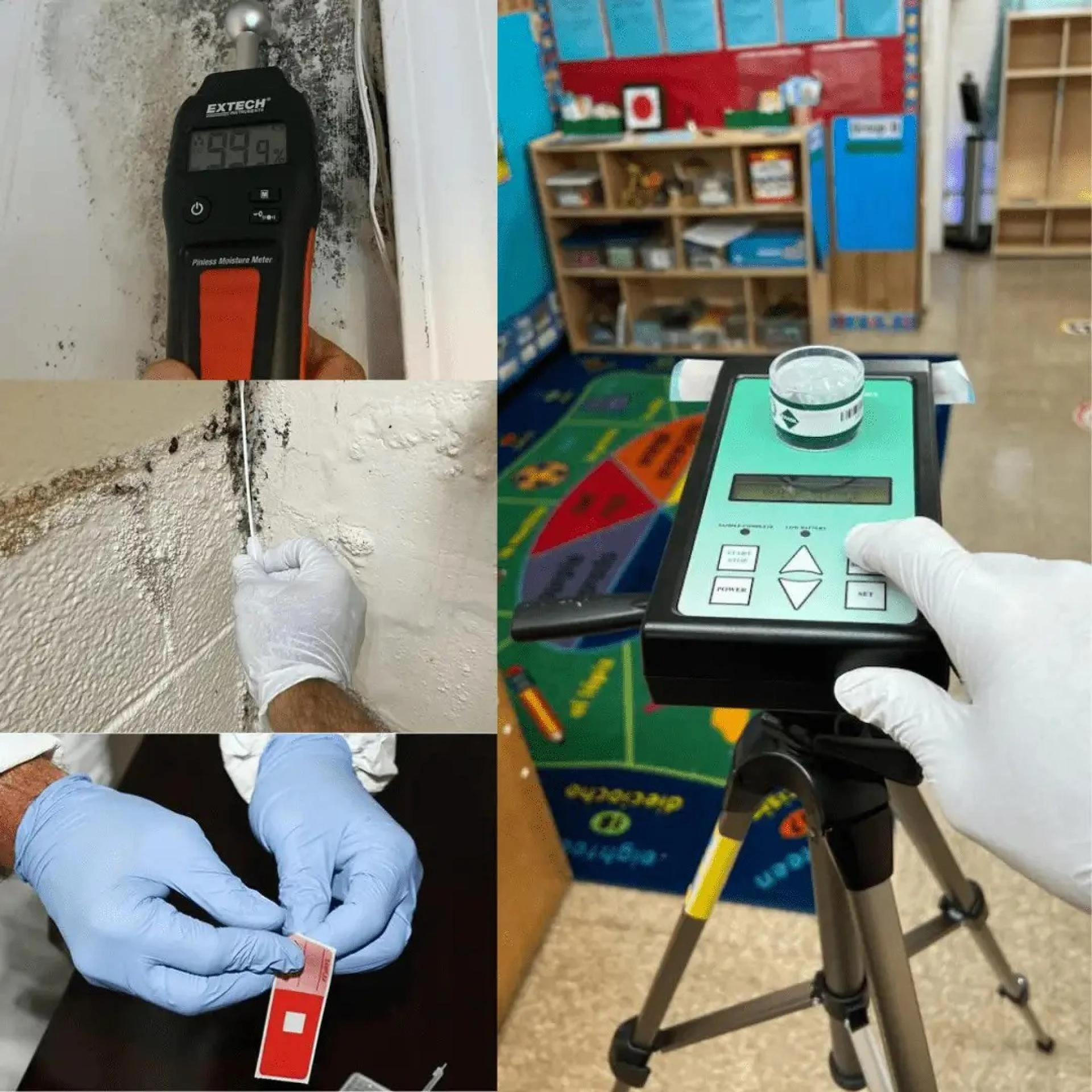 Quest Testing: Ensuring Safety and Health with Premier Mold and Asbestos Inspections