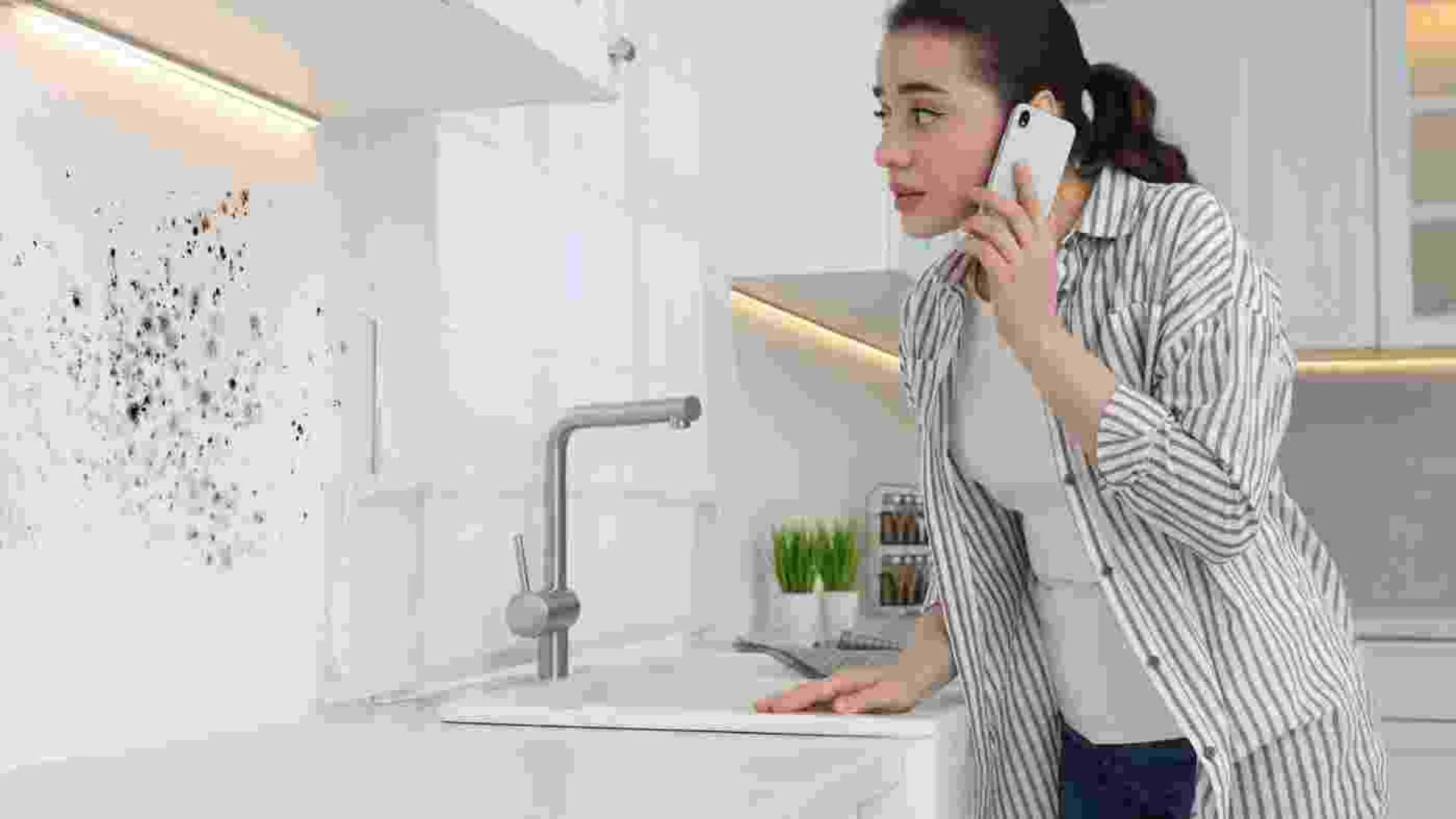 Mold Remediation Secrets Revealed: Expert Tips for a Healthy, Mold-Free Home