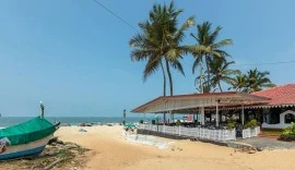 Exploring the Pristine Beaches of South Goa: A Paradise Unveiled