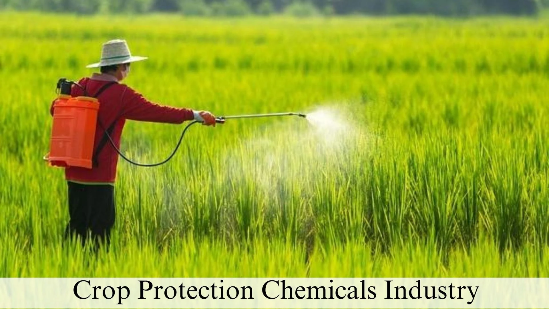 Crop Protection Chemicals Industry Size, Growth Trends by 2032