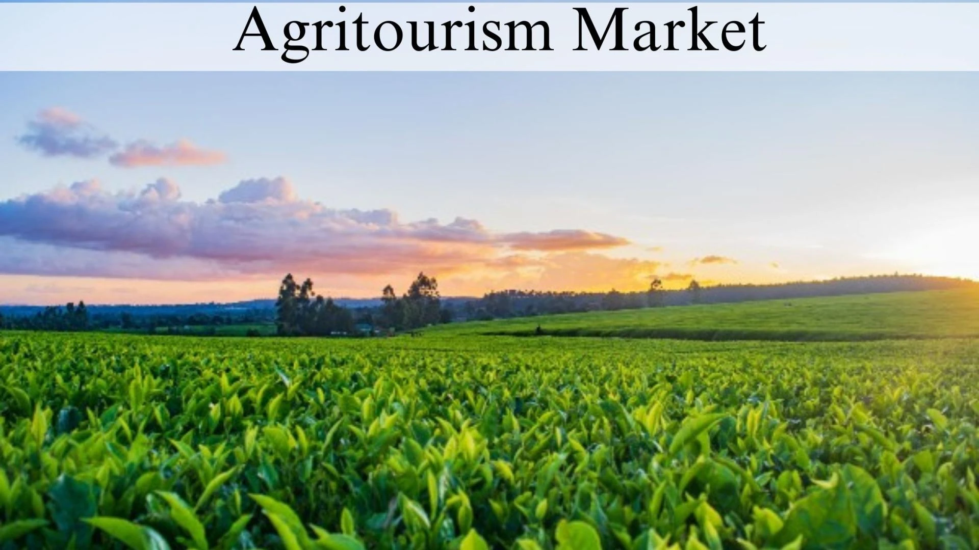 Agritourism Market Size and Growth Trends by 2032