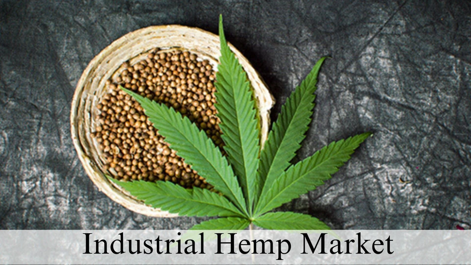 Industrial Hemp Market Size, and Growth Forecast Through 2032