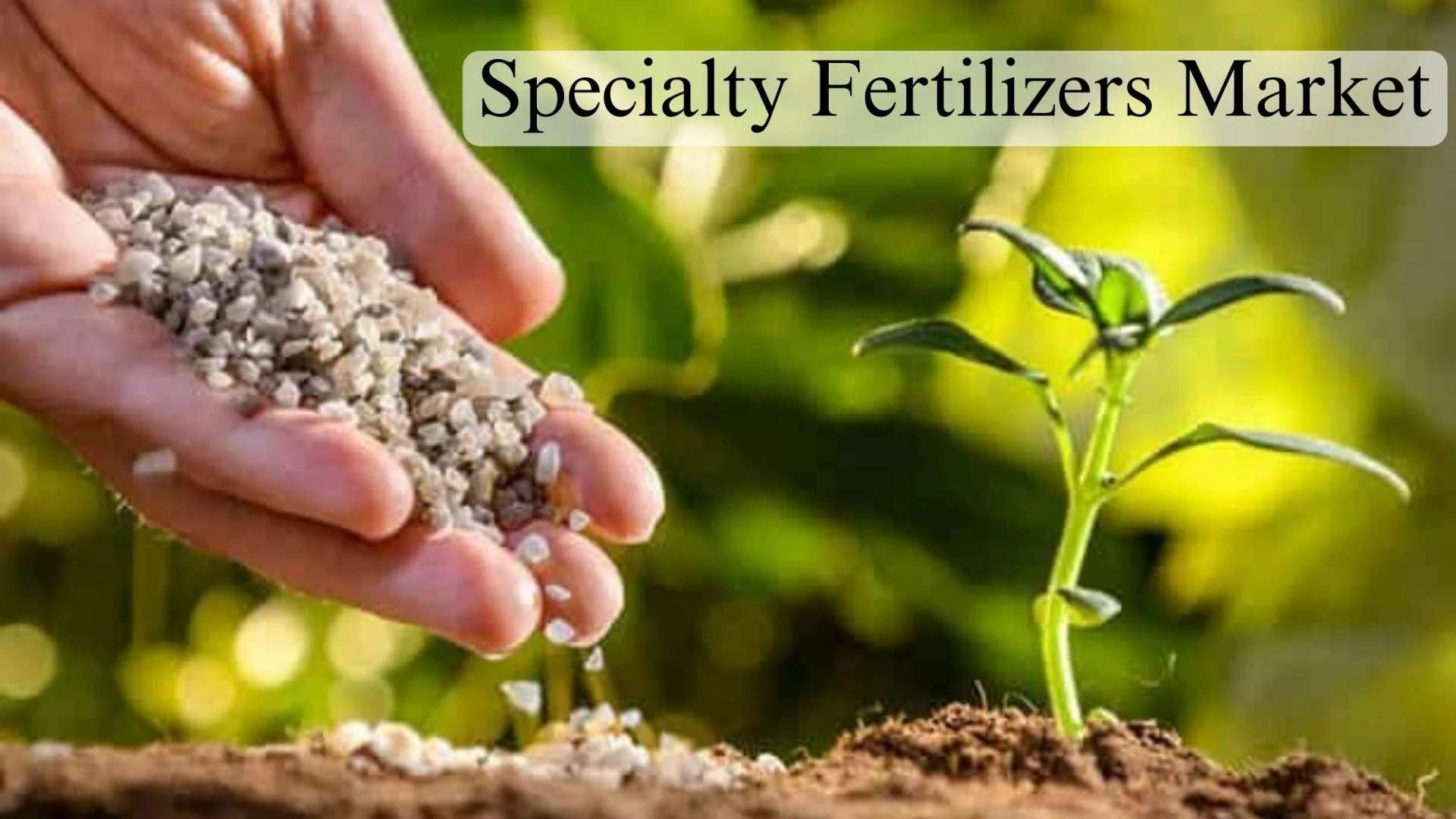 Specialty Fertilizers Market Size, Growth Analysis by 2032