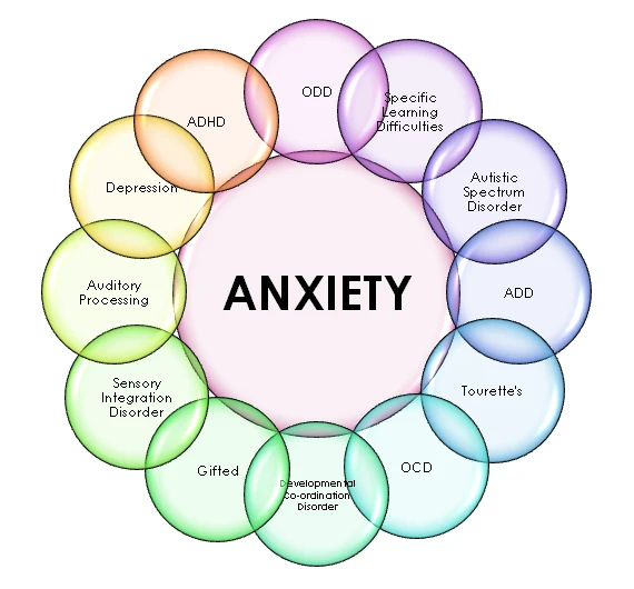 Examining the Connection Between Anxiety and Physical Health