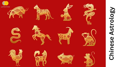 Navigating the Cosmos: A Comprehensive Guide to Chinese Astrology and Zodiac Signs