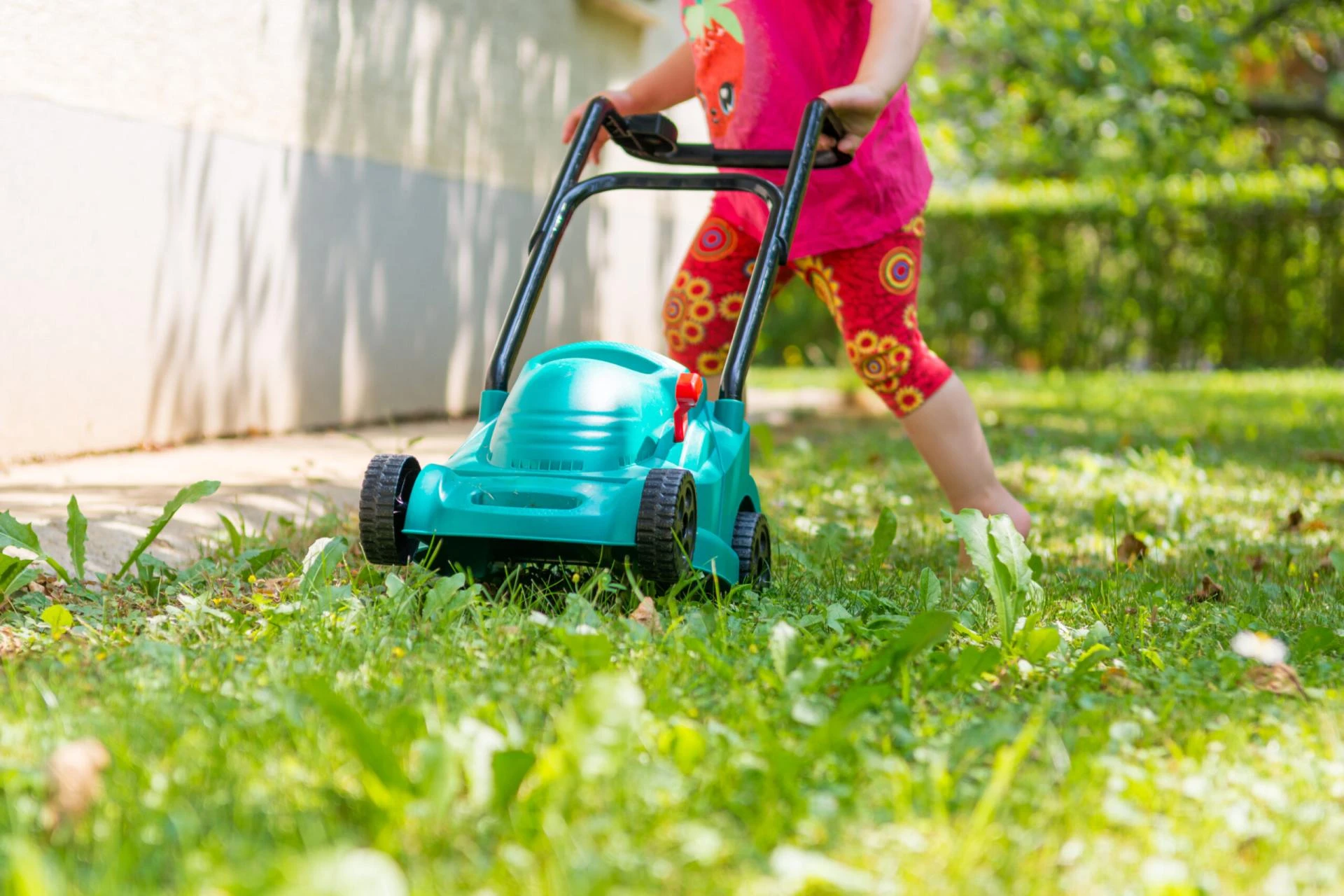 Tips for Buying a Corded or Cordless Electric Lawn Mower