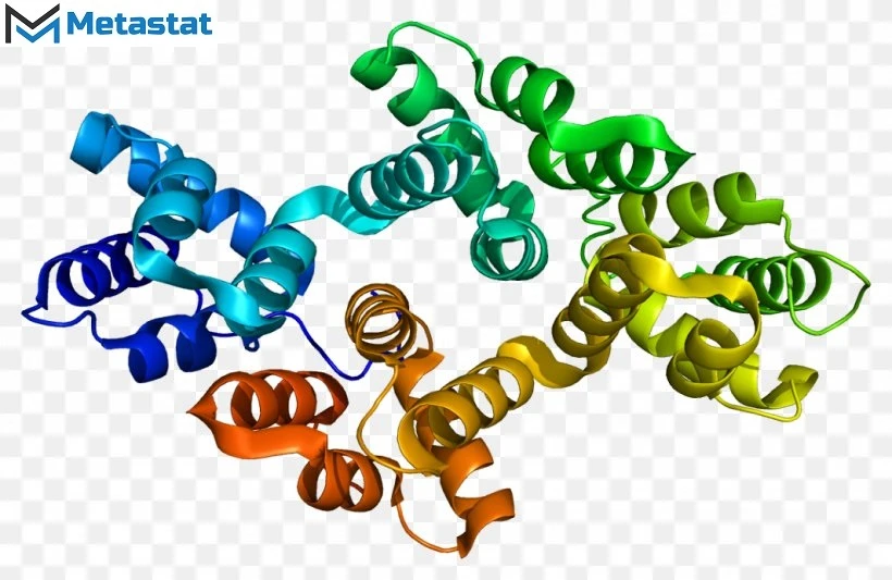 ANXA5 Market Analysis, Size, Share, Growth, Trends Forecasts 2023-2030