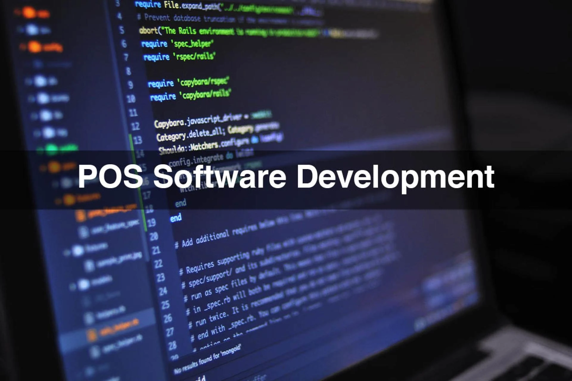 POS Software Development