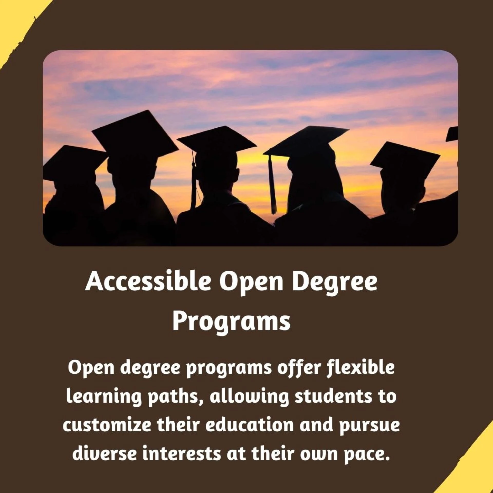 Unleashing Potential through Open Degree Courses in Distance Education