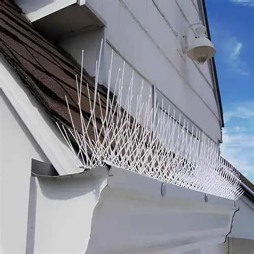 #1 Top Quality Anti Bird Spikes in Hyderabad, Jubilee Hills