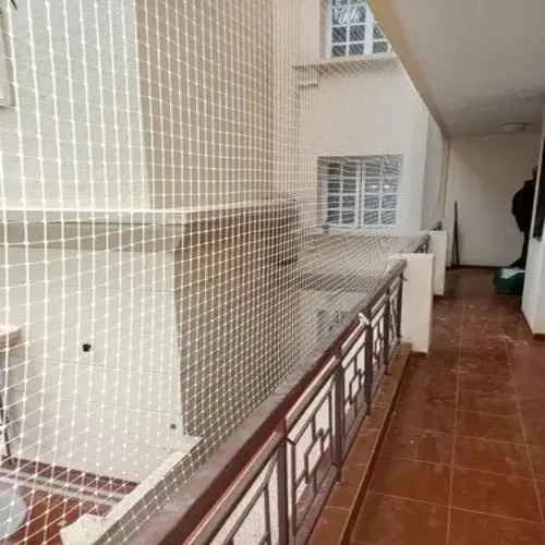 Top Quality Anti Bird Net in Hyderabad, Jubilee Hills
