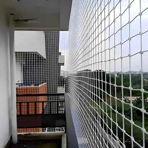 Quality Net for Pigeons in Hyderabad, Jubilee Hills