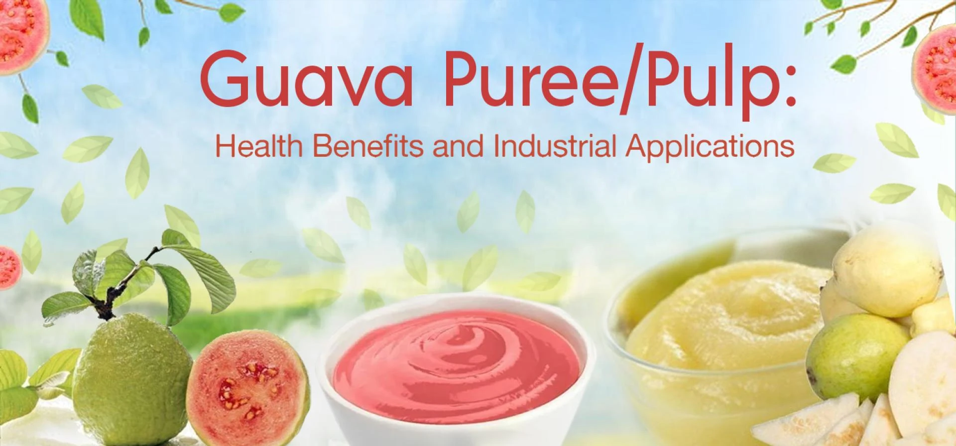 Guava Puree/Pulp: Health Benefits and Industrial Applications