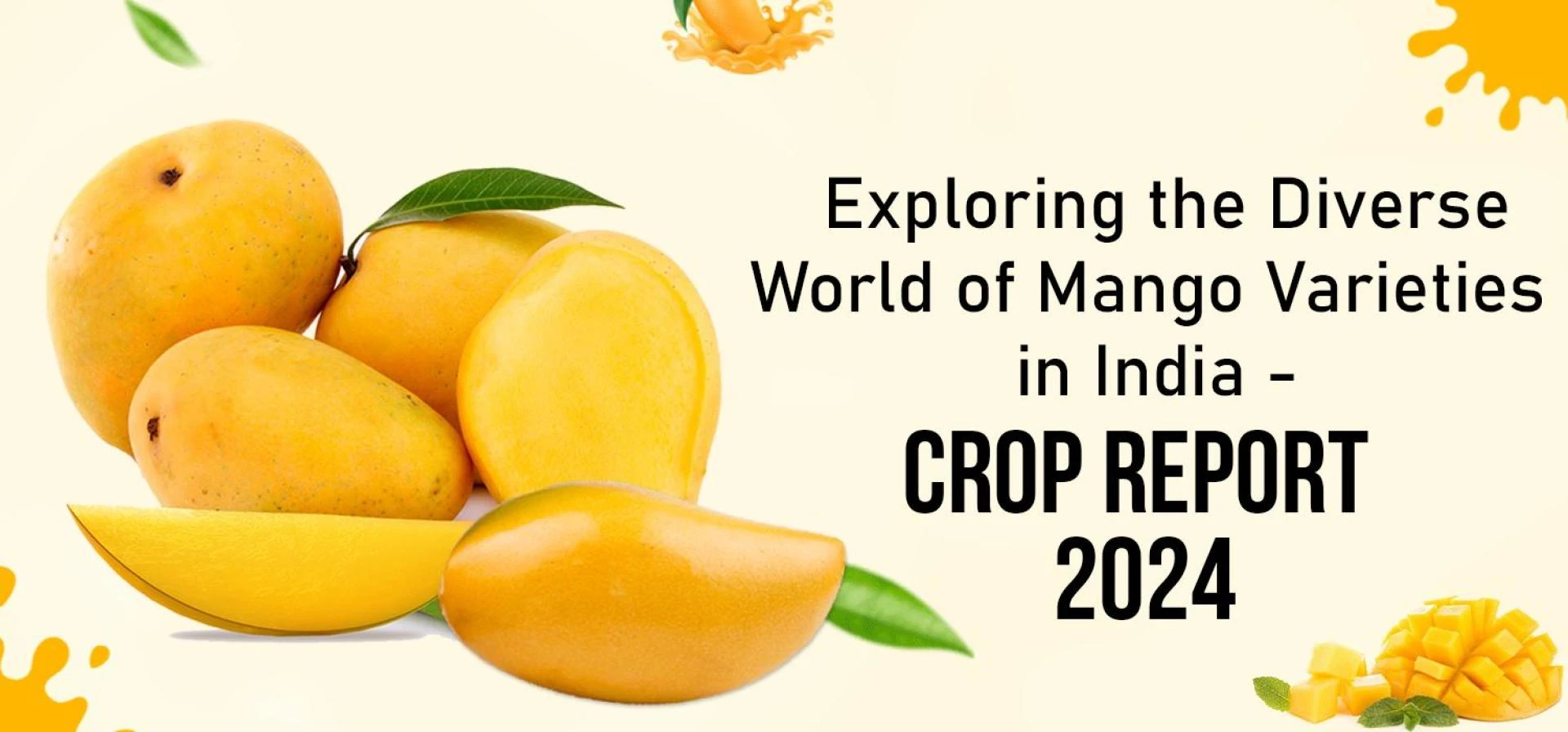 Exploring the Diverse World of Mango Varieties in India – Crop Report 2024