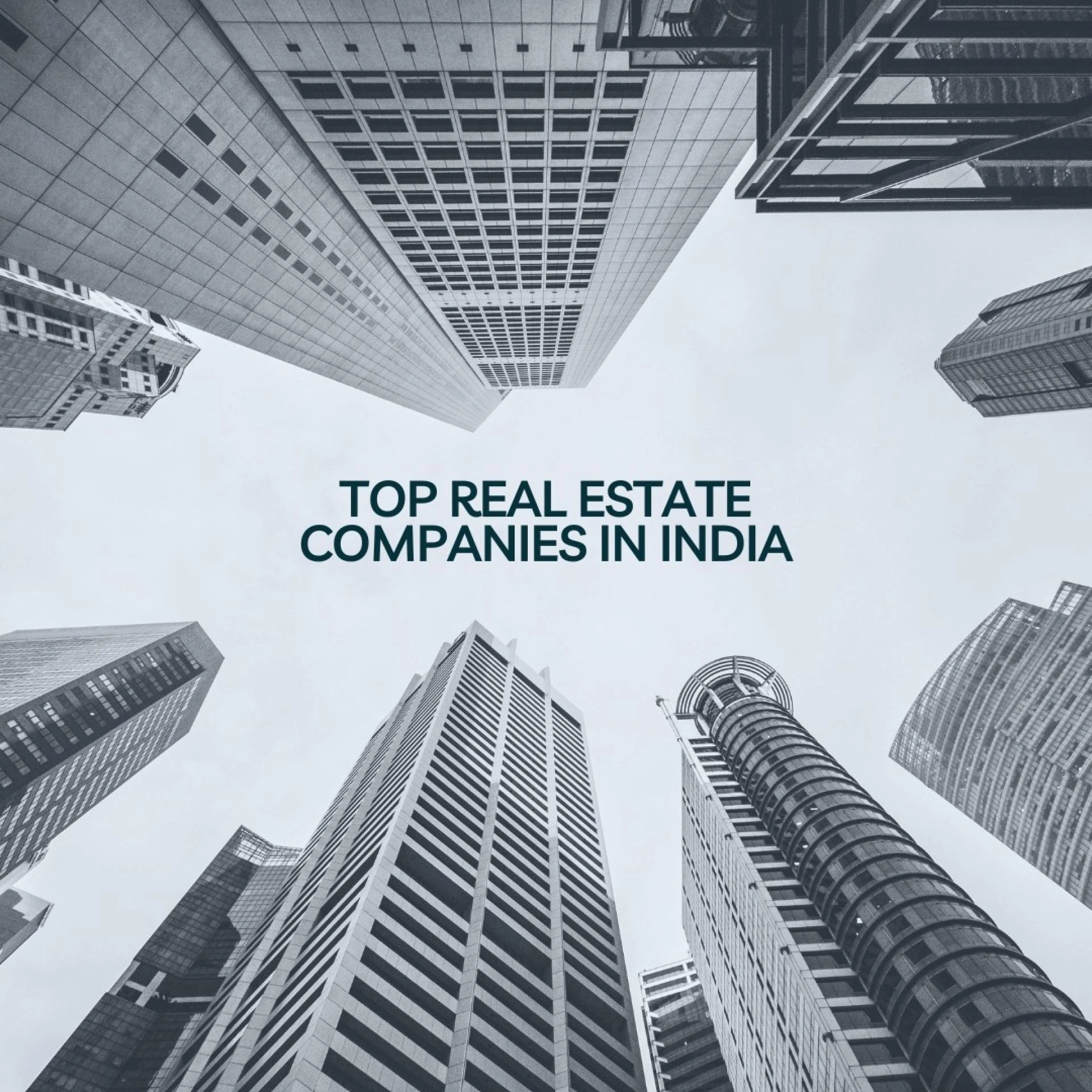Looking for Real Estate Excellence in India? Discover Our Top Company Selections!