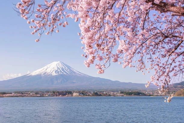 Top 10 Essential Tips for First-Time Travelers to Japan
