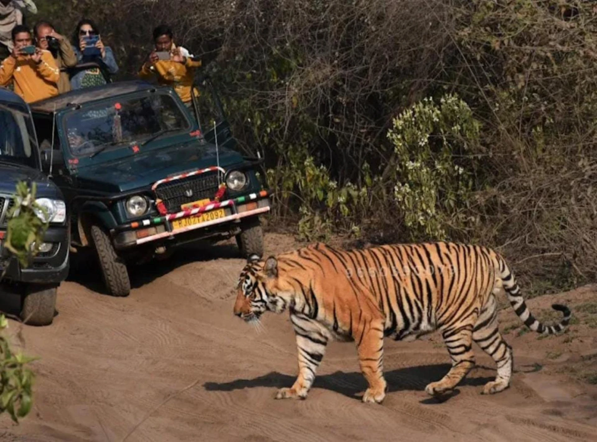 Embark on an Adventurous Sariska Tour Package for Unlimited Fun and Excitement
