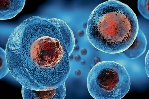 Cell Therapy Market Size, Share and Key players Competition Overview, Forecast Period 2032