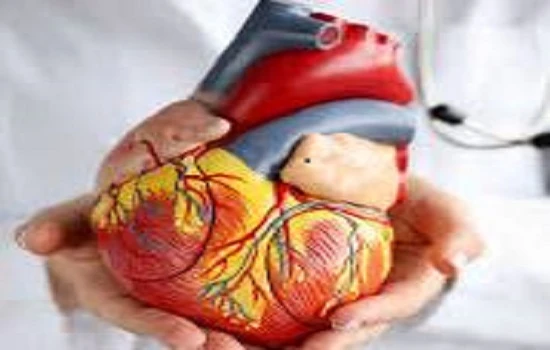 Discover the Best Cardiologist in Delhi: Expert Care and Affordable Treadmill Test Cost