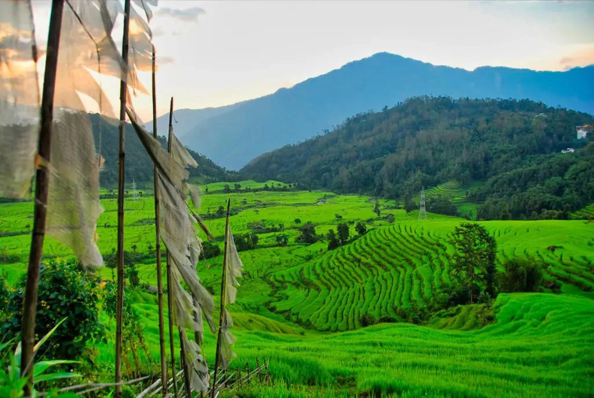 Wellness Retreats in Sikkim: Finding Peace and Relaxation Amidst Nature