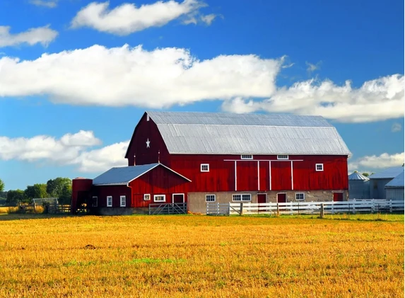 Revitalizing London's Skylines: The Impact of Commercial Painting and Roof Coatings!