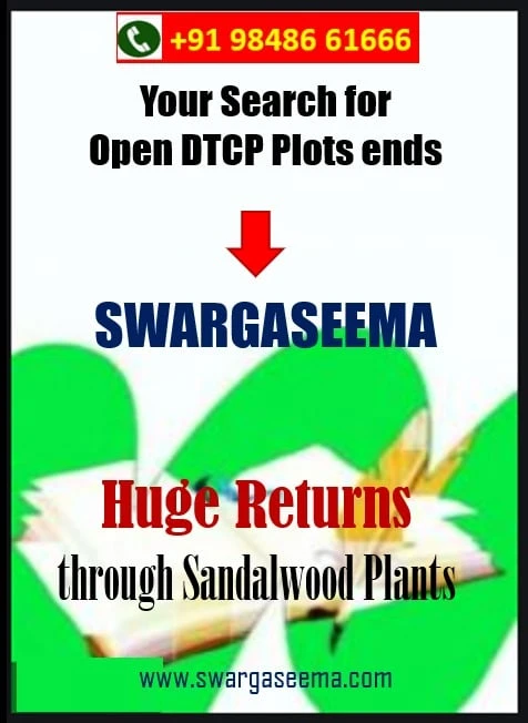 Why You Should Invest in Open Plots: 5 Reasons to Know