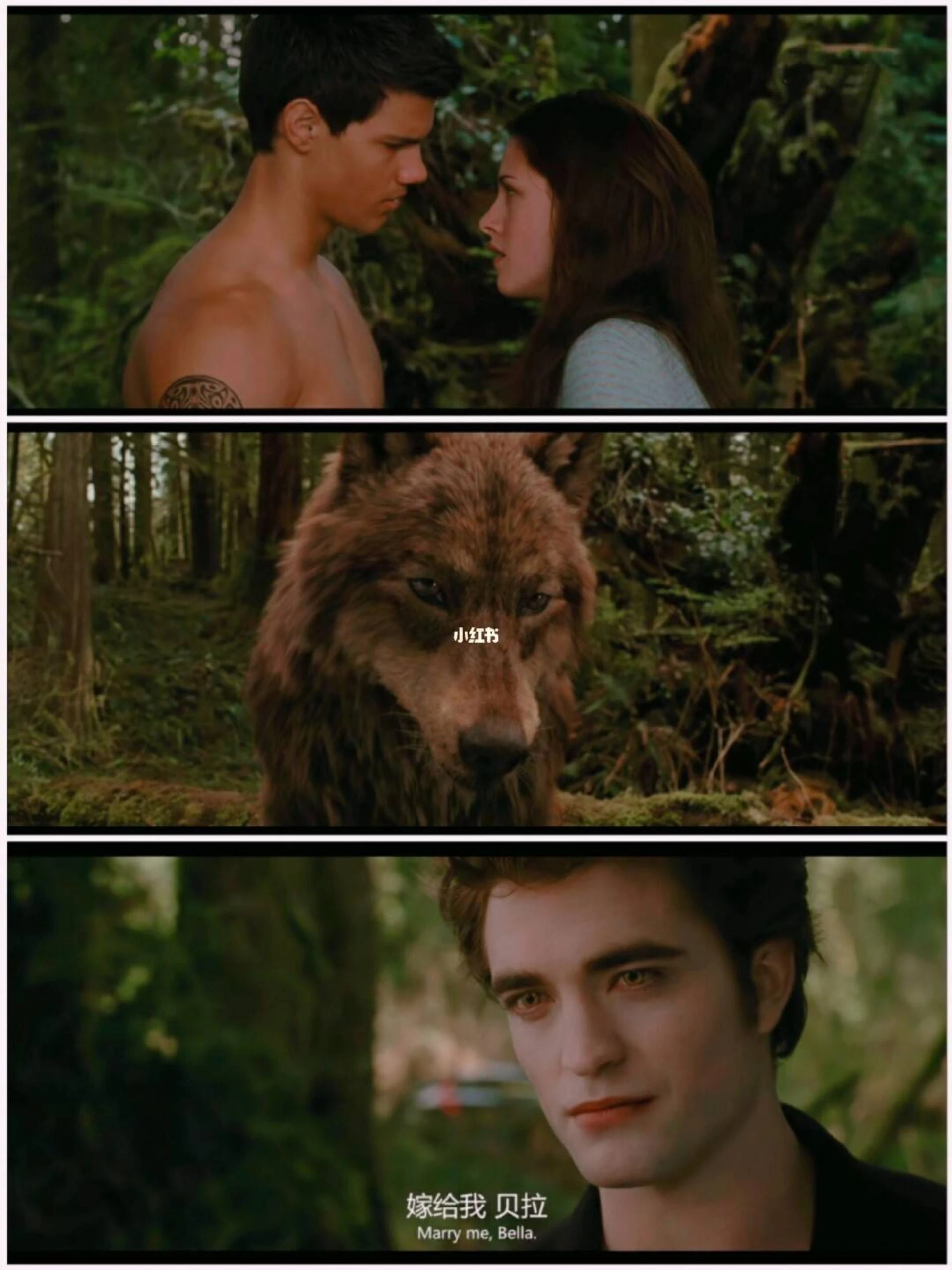 there are also a lot of sad, exciting romantic comedy movies