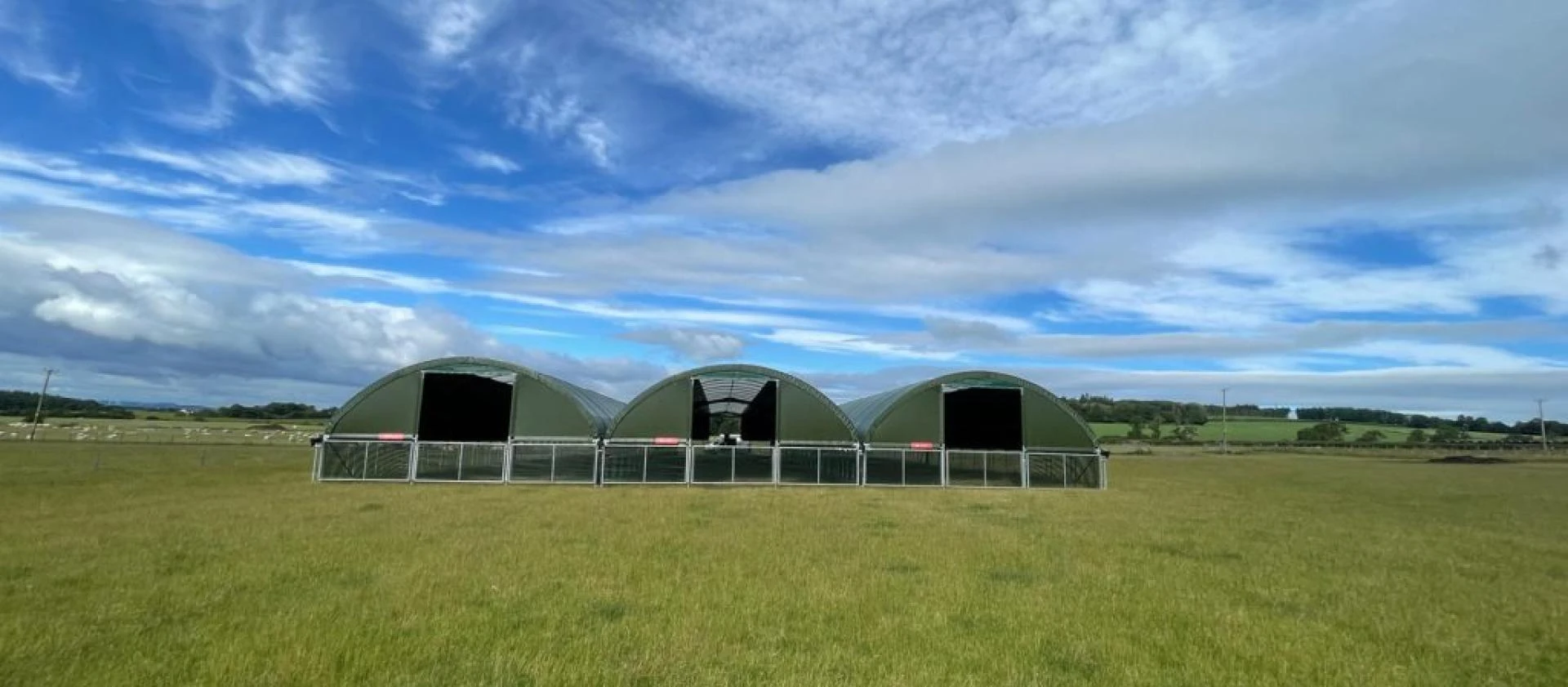 Transforming commercial farming success with goat housing ideas