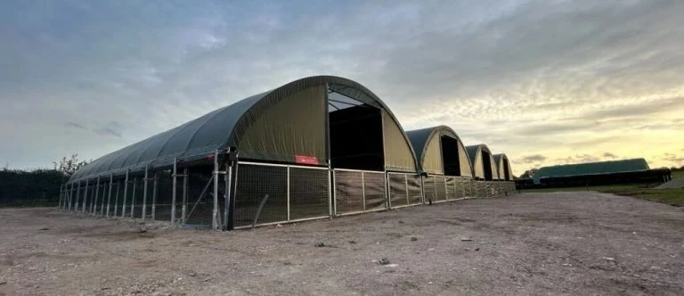 Top-Tier Outdoor Housing for Cattle | Modularity and Results