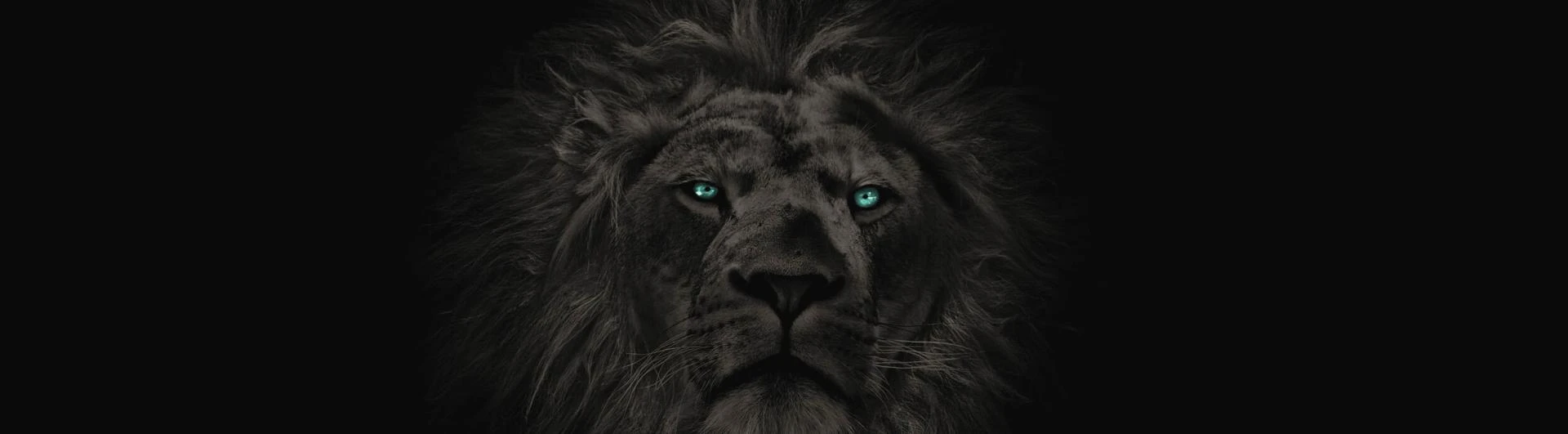 Your Virtual Shop Front Is Now More Important Than Your Physical, Are You Investing Correctly?