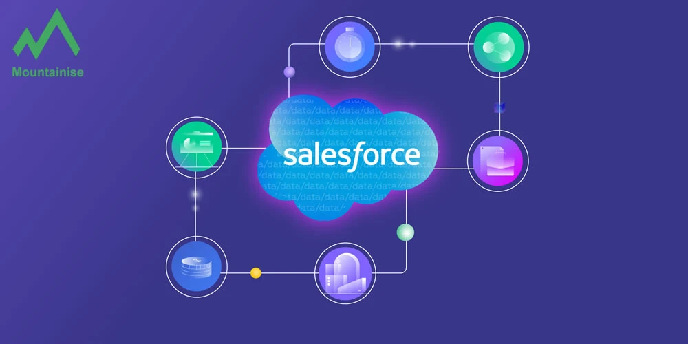 Winning Strategies for Salesforce Marketing Agencies