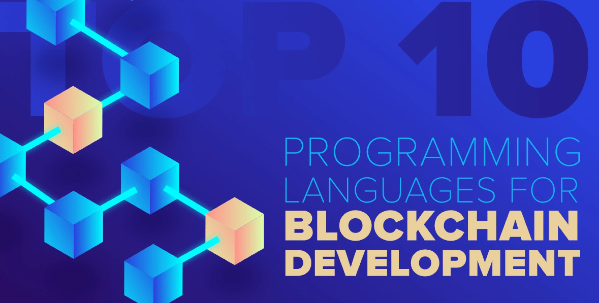 Which Are The 10 Best Programming Languages Used For Blockchain?
