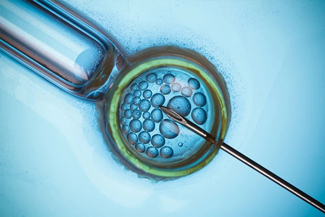Secure Your Tomorrow: The Benefits of Egg Freezing for Today's Women