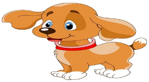 Giải đáp ngay Tuổi Tuất mệnh gì?