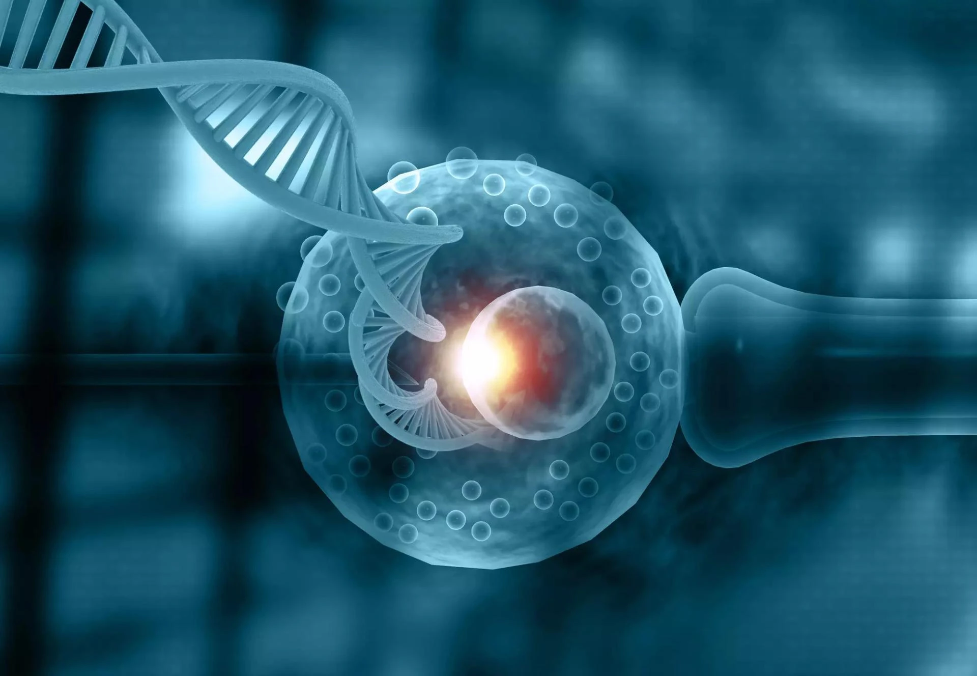 Unlocking Genetic Codes: Preimplantation Genetic Diagnosis in Perspective