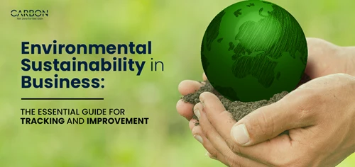 Environmental Sustainability in Business: The Essential Guide for Tracking and Improvement