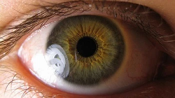 Do You Know About Stem Cellular Eye Treatment?