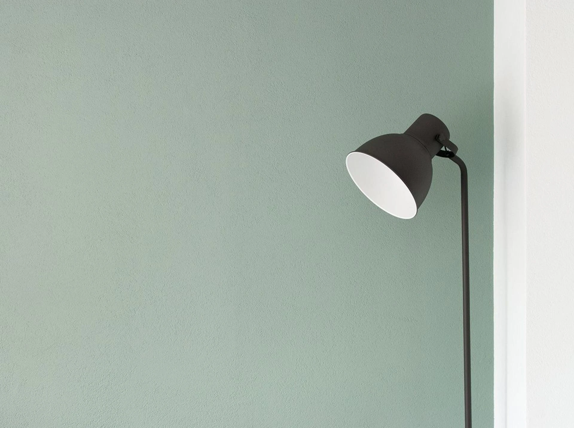 Painting Perfection: Why Professional House Painters Are Worth the Investment