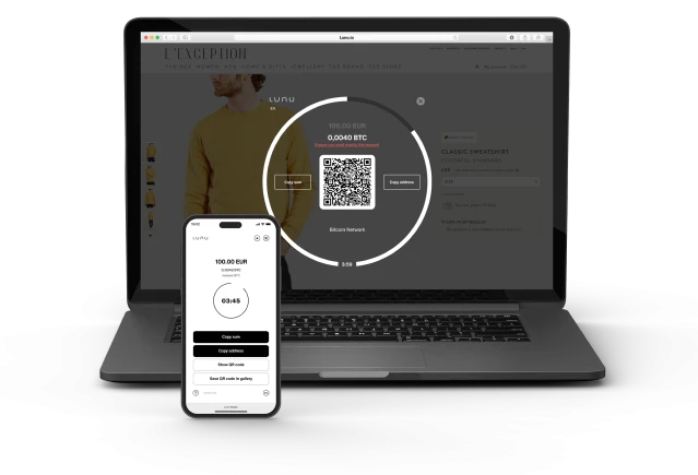 Streamlining Online Payments: The Revolutionary Crypto Widget