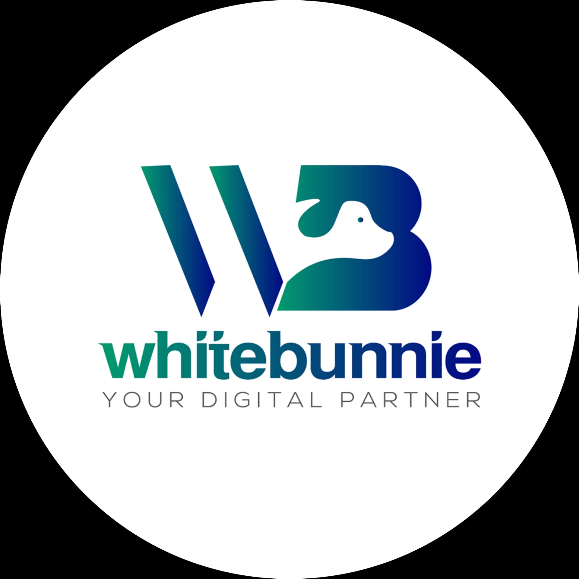 White Bunnie