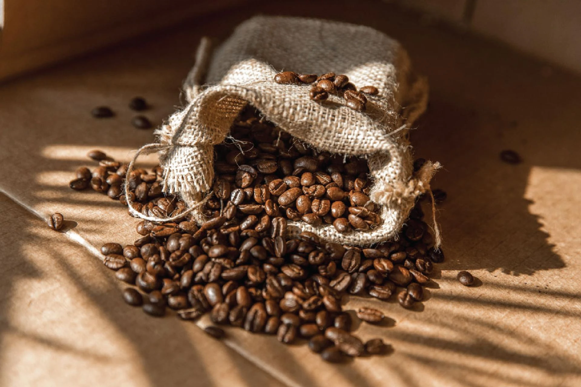 Expert Tips for Selecting the Best Coffee Roaster for Your Business