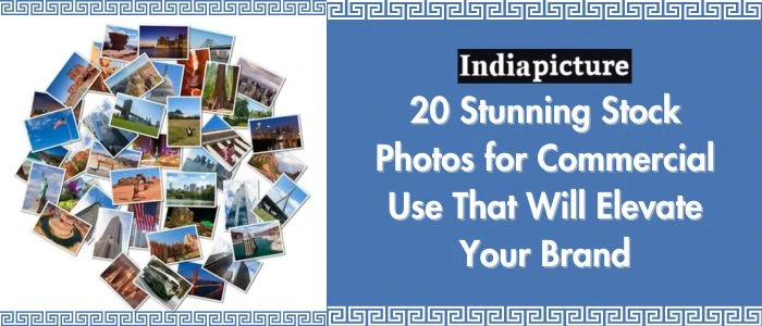 20 Stunning Stock Photos for Commercial Use That Will Elevate Your Brand